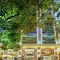 Conifer Boutique Hotel - map