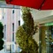 Tuscany By Luxurban - map