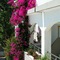 Apollon Hotel Apartments - map