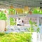 Soul Vacation Resort And Spa, Colva - map