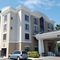 Holiday Inn Express & Suites Tampa Usf Busch Gardens By Ihg - map