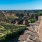 Super 8 By Wyndham Amarillo West - map