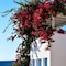 Folegandros Apartments - map