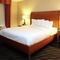 Hilton Garden Inn Chesapeake Suffolk - map