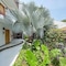 Best Western Posada Chahue - map