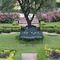 Quinta Real Saltillo - map