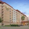 Homewood Suites By Hilton Tampa-Brandon - map