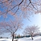 Atema Kogen Resort Belnatio - map