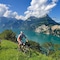 Schmid Und Alfa - map