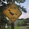 Hampton Inn Manheim - map