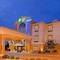 Holiday Inn Express Hotel & Suites Mount Pleasant By Ihg - map