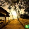Lime & Soda Beachfront Resort - map