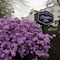 Hampton Inn Nashua - map