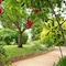 The Originals Boutique, Hotel Clos Sainte Marie - map