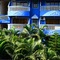 Villa Theresa Beach Resort - map