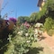 Hotel Doñana Blues - map