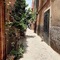 Riad Lauriers Blancs - map