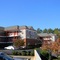 Stay Inn & Suites - map