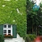 Brauereigasthof-Hotel Aying - map