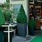 Truffel Hotel - map