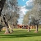Villa Barbarina Boutique Resort - Nature - Hotel & Restaurant - Alghero - map