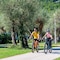 Camping Residence Oliva - map