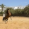 La Badira - Adults Only - map