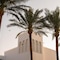 Baron Palms Sharm El Sheikh Hotel- Adults Only - map
