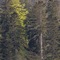 Le Clos Du 5 - Appart Hotel Bagneres - map