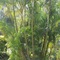 Buderim Fiesta Motel - map