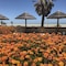 Shark Bay Seafront Apartments - map