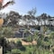 Camargue Beachfront Apartments - map