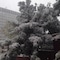 Holiday Inn Express Ordos Dongshen By Ihg - map