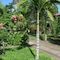Aiyana Lodge - map