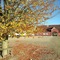 Holtegaard Bed & Breakfast - map