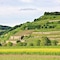 Winzerstube Ihringen - map