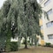 Airport Apartment Köln Bonn - map