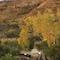 Discovery Parks - Alice Springs - map