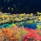 Sheraton Jiuzhaigou Resort - map