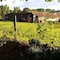 Winchelsea Lodge - map