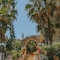 Creta Vitalis - map