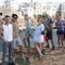 Olive Tree - Hostel - map