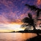 Sheraton Samoa Beach Resort - map