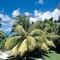 Le Tropique Villa - Adults Only - map