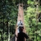 Tree Trek Boquete Adventure Park - map