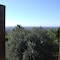 Eurialo Green Suites - map