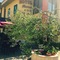Hotel Facioni - map