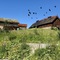 Scandic Stiklestad - map
