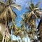 Palm Beach Resort & Spa - map