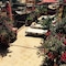 Riad Jona - map